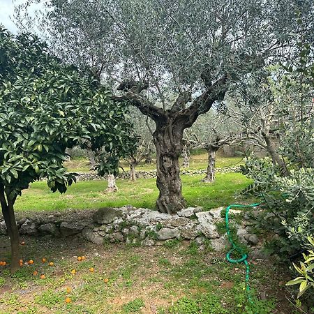 Chic Apartment In Nature, 5-Min Walk To The Beach Kalamata Exteriér fotografie